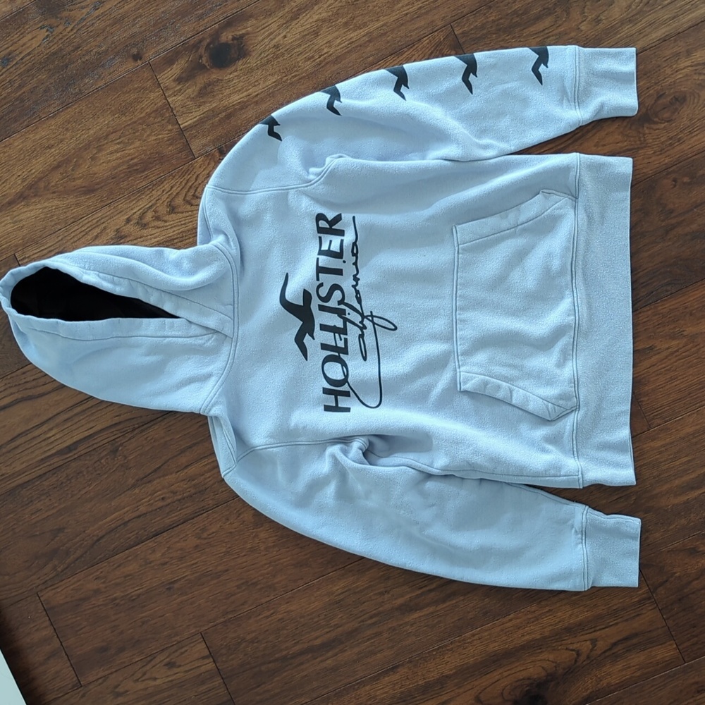 Hollister Logo Graphic Hoodie